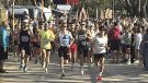 La Marató d’Empúries, de rècord