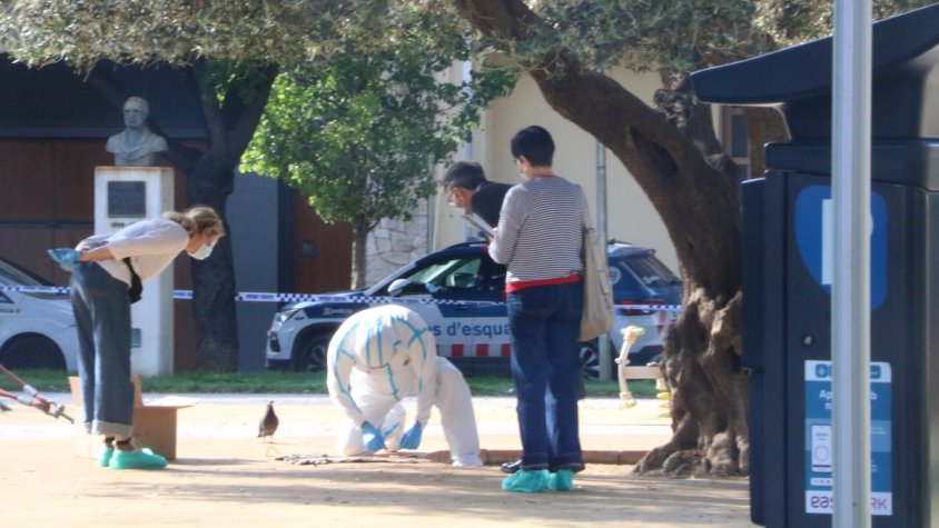 Els fets van passar dimarts a la plaça Terradellas