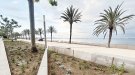 Nou disseny als parterres amb vegetació sostenible